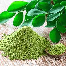 Moringa leaf powder organic gel capsules x120