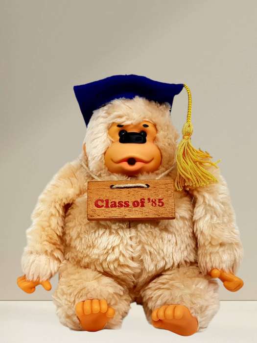 Vintage Gonga Class of '85 Plush Gorilla Toy - Excellent Condition - Rare Collectible