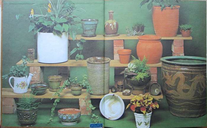 Container and Indoor Gardening