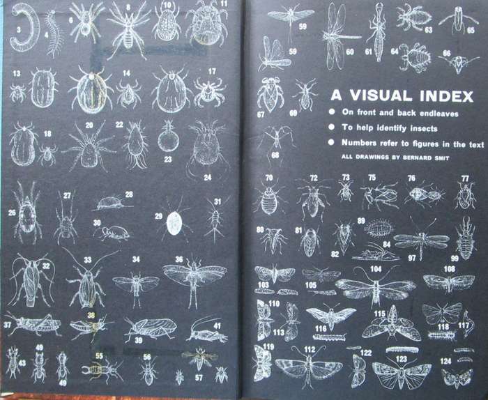 Insects in Southern Africa: How to Control Them, A Handbook