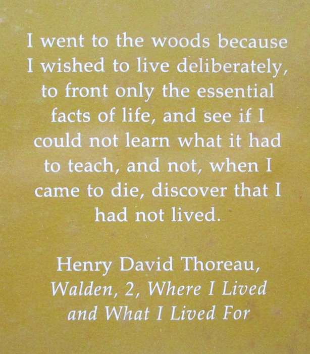 Voices of the Wilderness