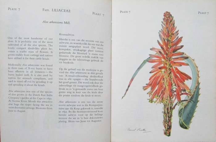 The Flowering Plants of Tsitsikama Forest and Coastal National Park