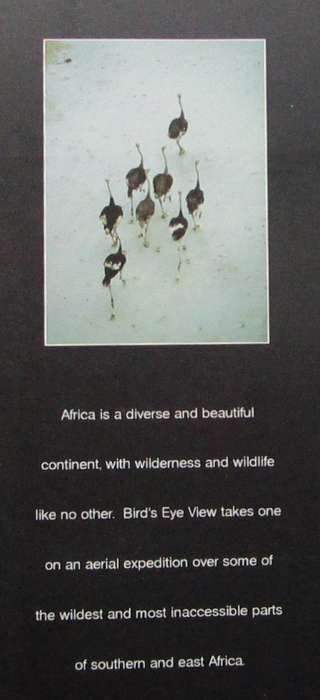 Bird's Eye View an Aerial Journey Over Wild Africa