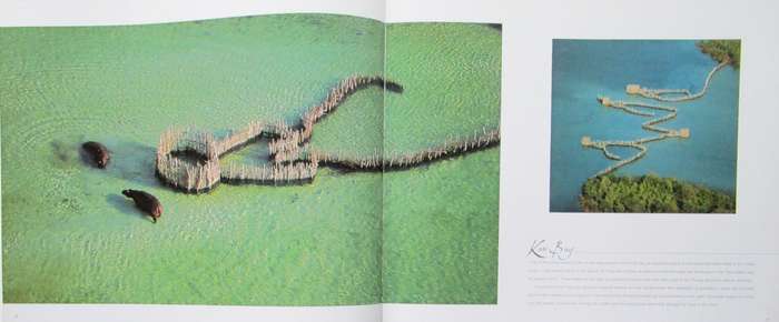 Bird's Eye View an Aerial Journey Over Wild Africa