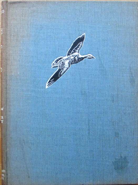 The Snow Goose Illustrated Edition