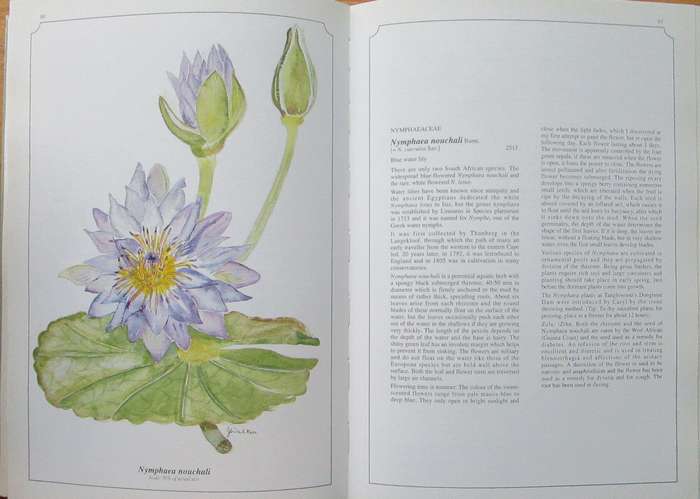 Wild Flowers of KwaZulu-Natal *** SIGNED ***