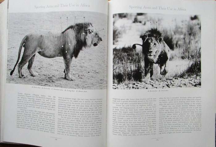African Hunter