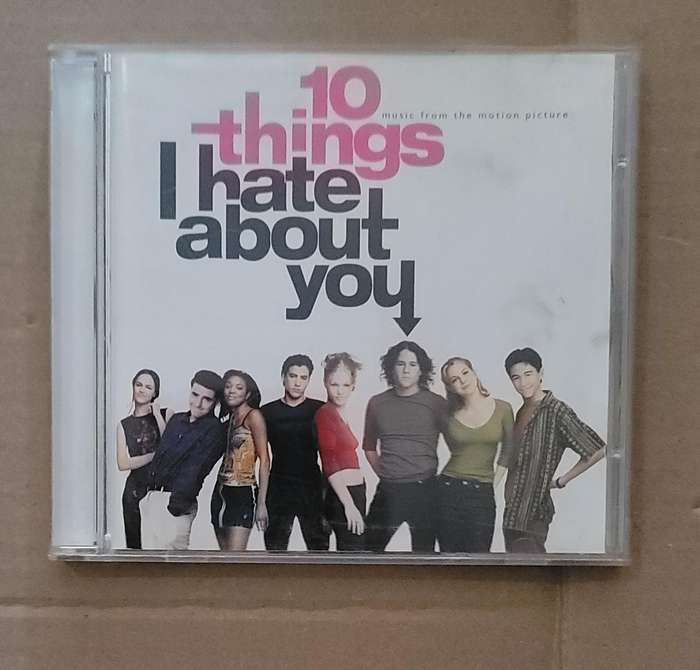 10 THINGS I HATE ABOUT YOU