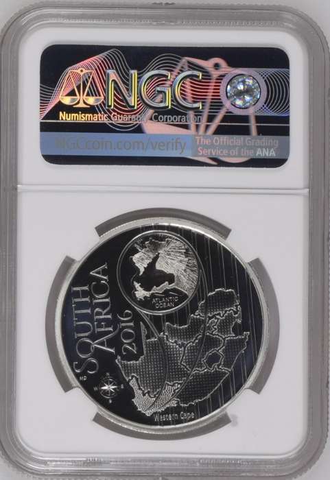PF70 UC - 2016 Sterling Silver R5 - 1oz Silver Color Series - Blue Bearded Disa