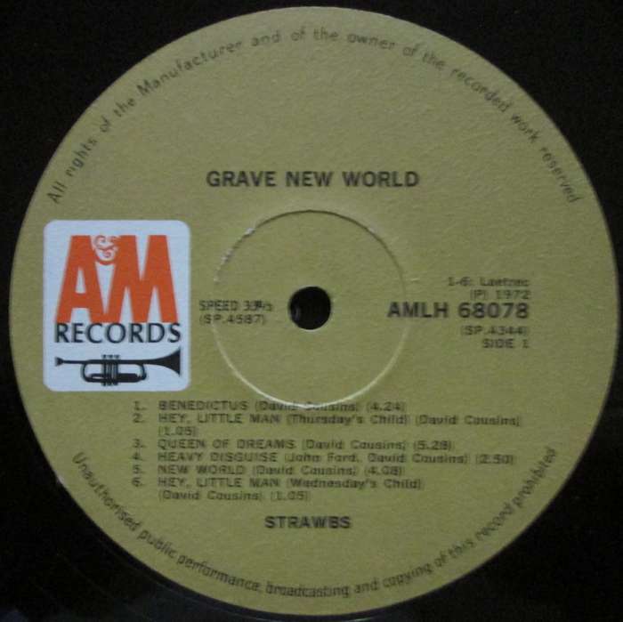 STRAWBS - GRAVE NEW WORLD  (LP/VINYL)