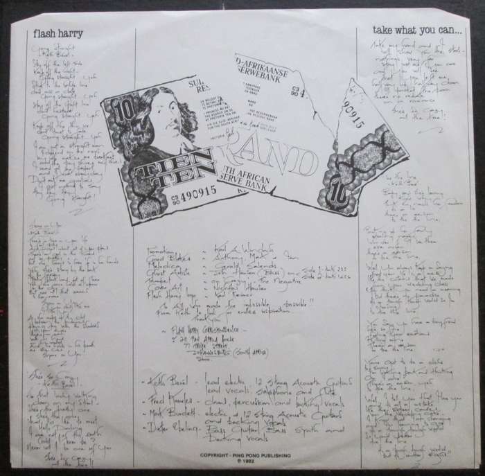 FLASH HARRY - TAKE WHAT YOU CAN  (LP/VINYL)