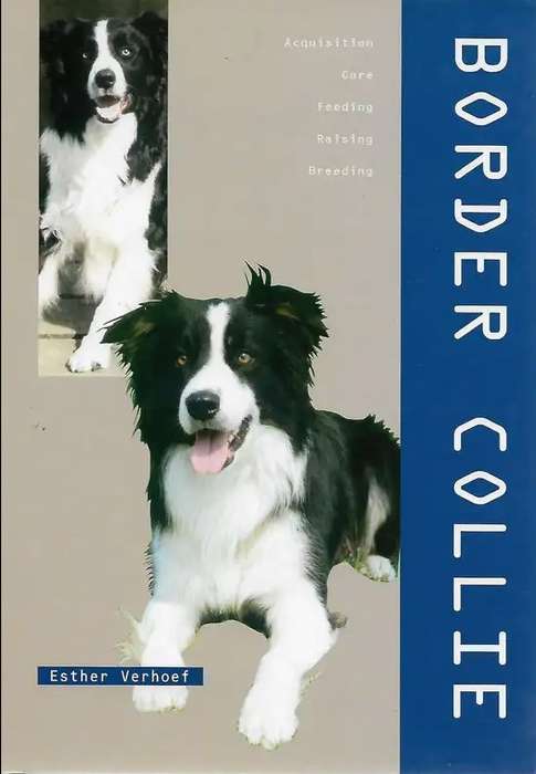 Border Collie by Esther Verhoef