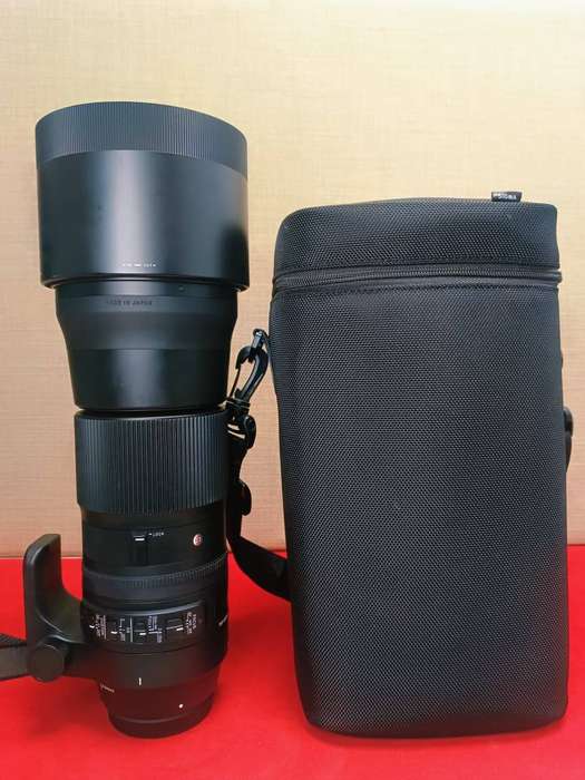 Sigma 150-600mm F5-6.3 DG OS HSM | Contemporary Lens