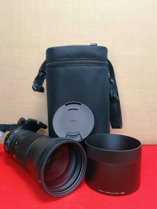 Sigma 150-600mm F5-6.3 DG OS HSM | Contemporary Lens