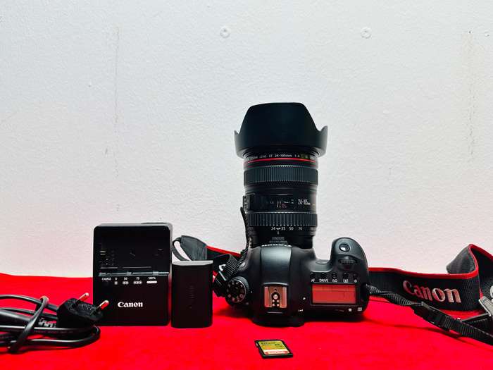 Canon EOS 6D Full frame Camera with Canon EF24-105 1:4 L IS STM Lens & accessories