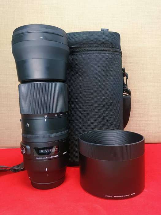 Sigma 150-600mm F5-6.3 DG OS HSM | Contemporary Lens