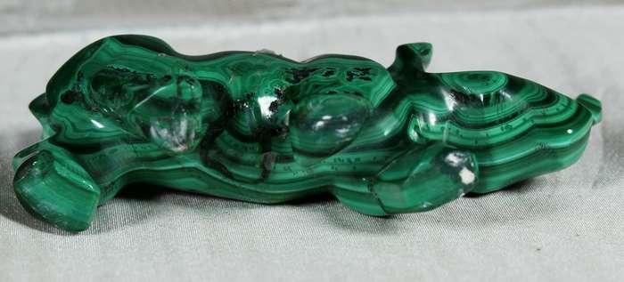 Small malachite rhino