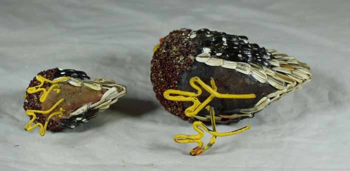 Pair of chickens covered with seeds