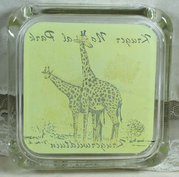 Kruger national park - Glass ashtray
