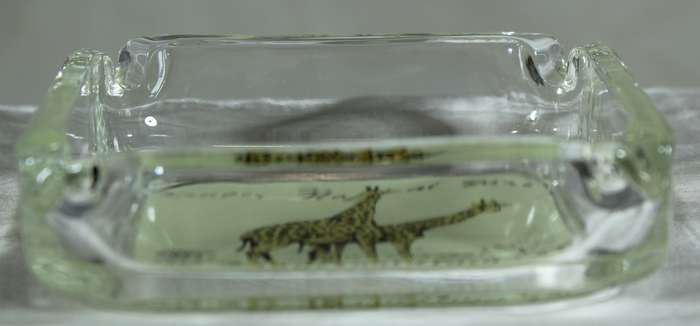 Kruger national park - Glass ashtray
