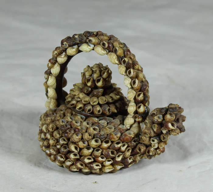 Small ceramic tea pot covered with shells