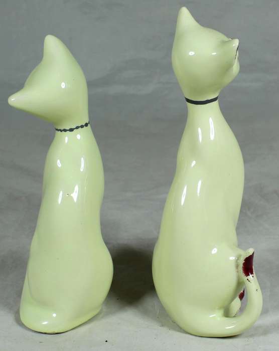 Pair of Flora Ann cats - Hendrik Verwoerd dam