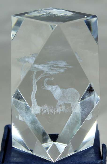 Laser etched paperweight with elephant and tree