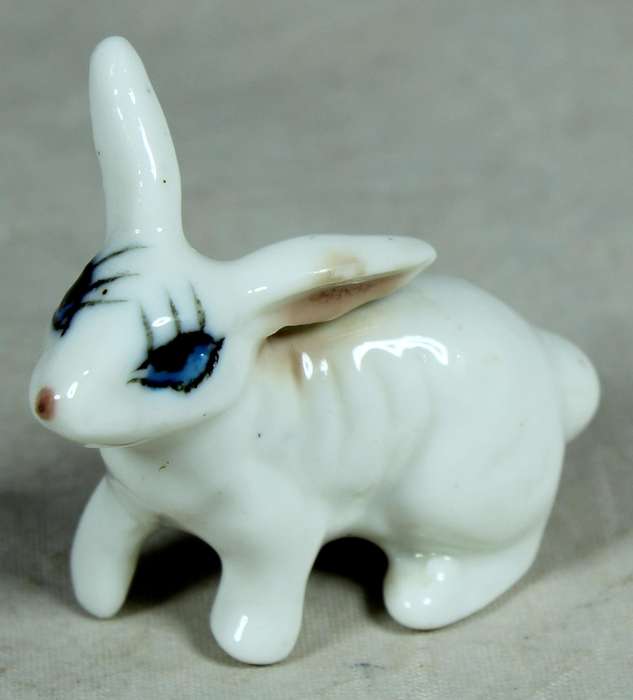 Miniature white rabbit with large eyes