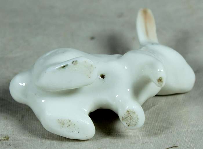 Miniature white rabbit with large eyes