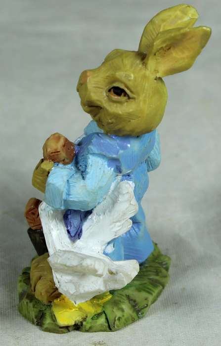 Miniature rabbit with goose