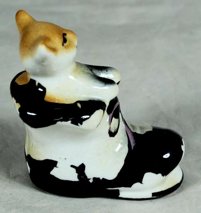 Miniature cat in an old boot