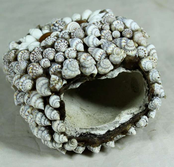 Ceramic owl covered with shells