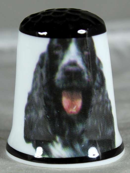 Bone China thimble - Springer Spaniel