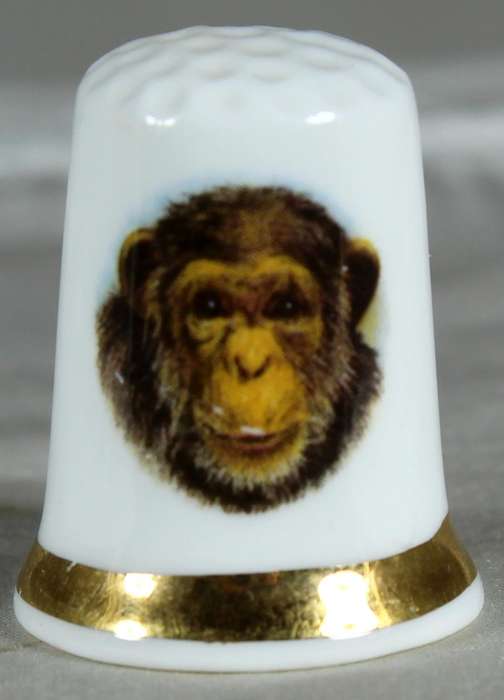 Bone China thimble - baboon - Finsbury