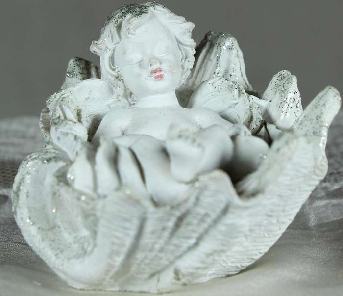 Little boy/angel laying in a large shell