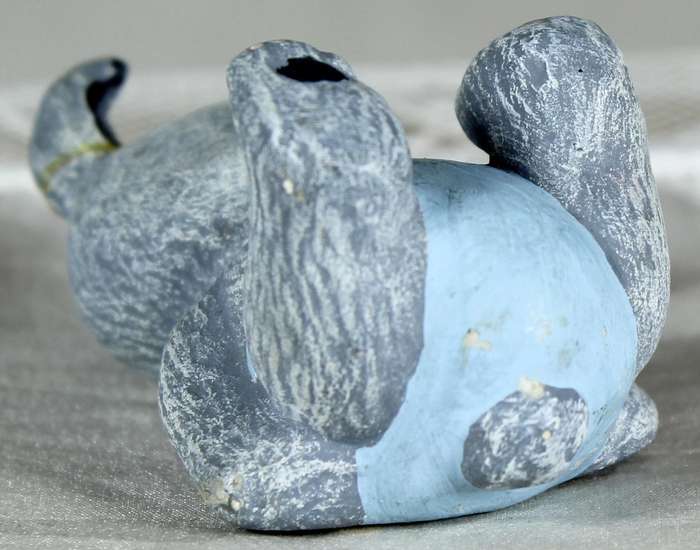 Miniature rabbit laying down