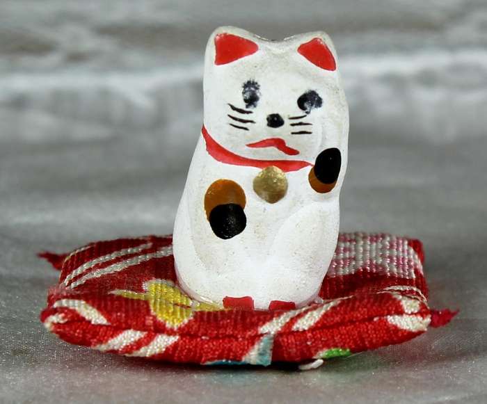 Miniature Japanese cat on a carpet