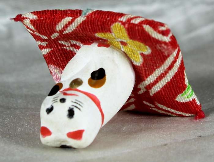 Miniature Japanese cat on a carpet