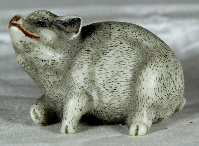 Miniature piggy