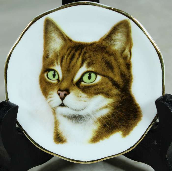 Small display plate - Fine bone China - Brown cat
