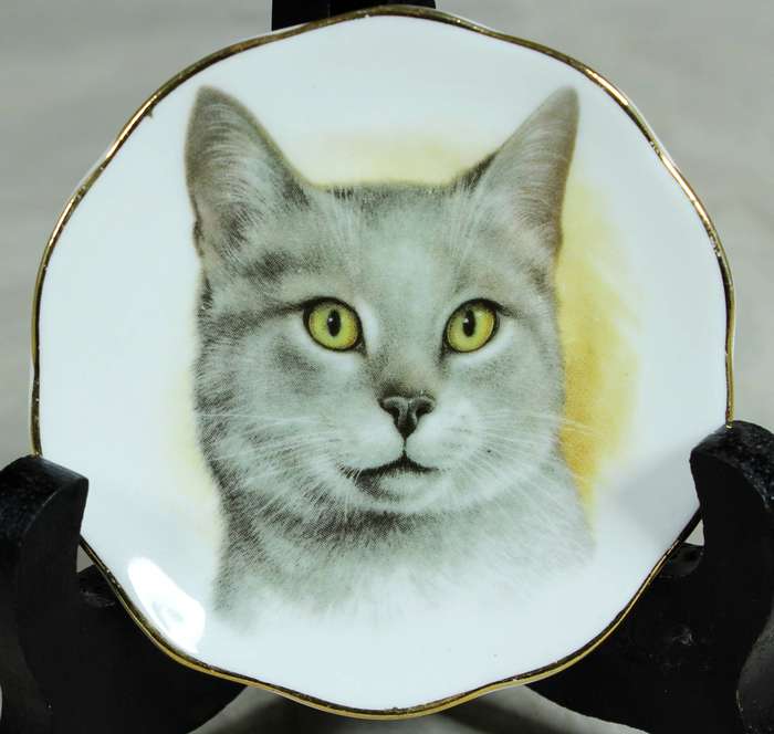 Small display plate - Fine bone China - Grey cat