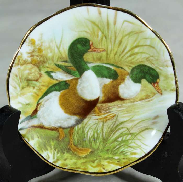 Small display plate - Fine bone China - Mallard ducks