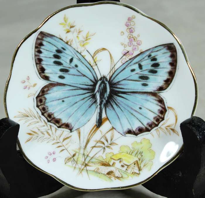 Small display plate - Fine bone China - Blue butterfly