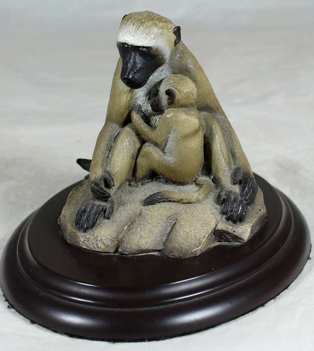 Feathers of Knysna - Baboon with baby