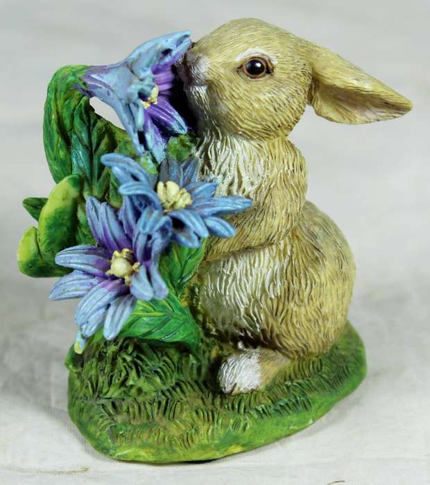 Russ - natures wonder - rabbit eating large flowers