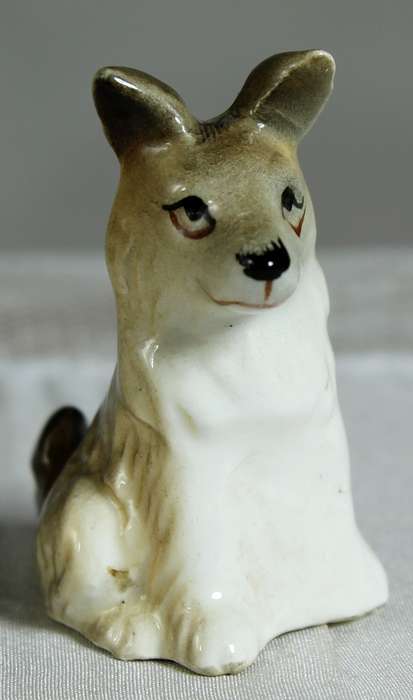 Miniature seated puppy