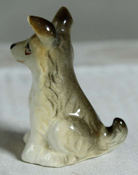 Miniature seated puppy