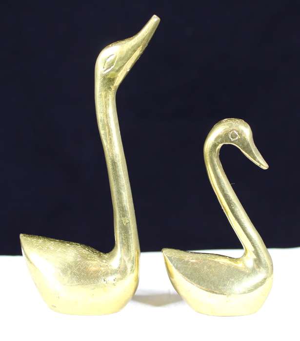 Pair of swans