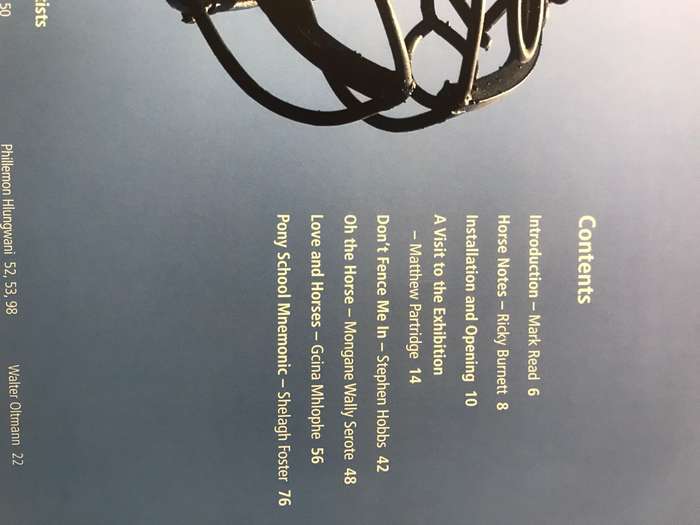 Horse: Multiple views of a singular Beast | Exhibition Catalogue | 60 South African Artists