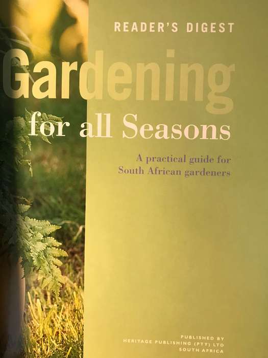 Container Gardening for All Seasons: A Practical Guide for South African Gardeners